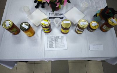 Evo kako to izgleda. E sad, nije isto na slici i u živo. Zato sutra od 10 do 19h smo tu….