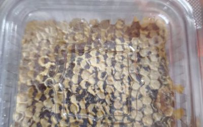 Osim meda imamo i ostale pčelinje proizvode… Med u saću, propolis, medenjaci, medne rakije i…