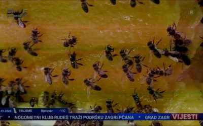 Hvala Grad Jastrebarsko…